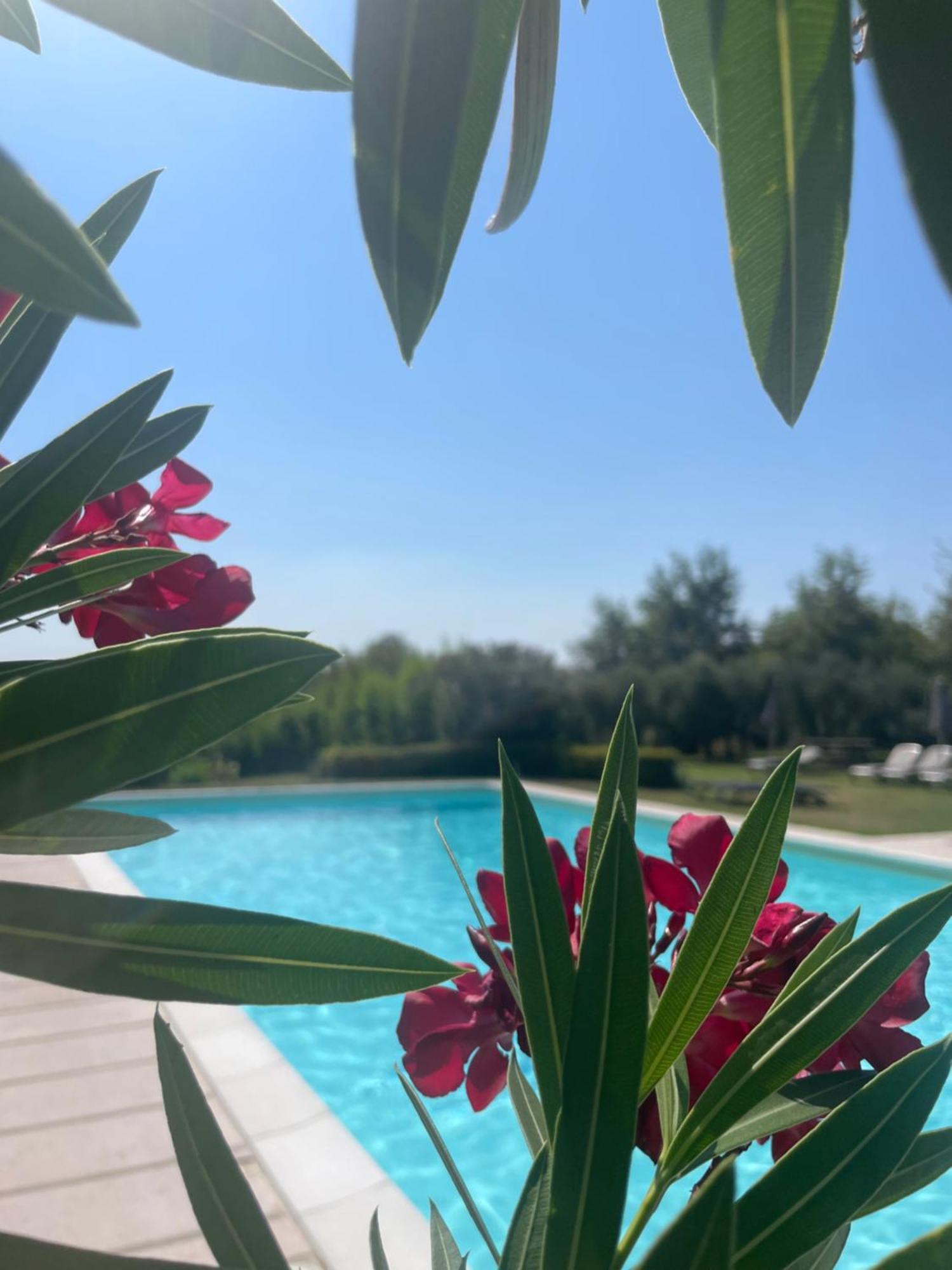Agriturismo Antica Dimora Del Turco โซนา ภายนอก รูปภาพ
